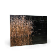 Load image into Gallery viewer, generated-proPreview-1