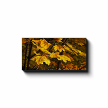 Load image into Gallery viewer, CanvsWrp-BlkWrp-10x20-20230919125026196
